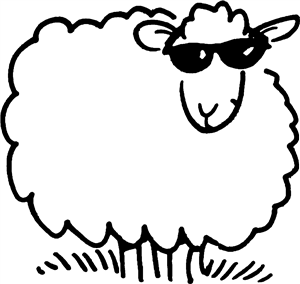 Cool Sheep