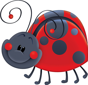Ladybird