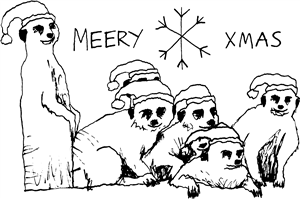 Merry Christmas Meerkats