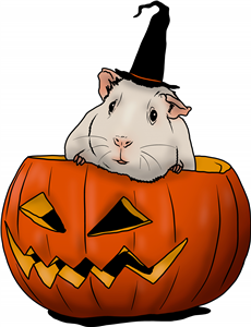 Halloween Guinea Pig