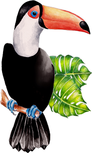 Toucan