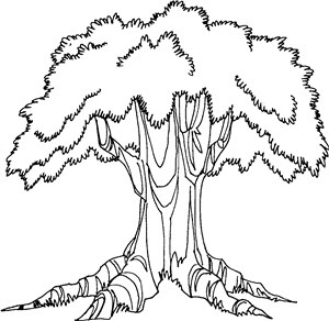 Oak Tree