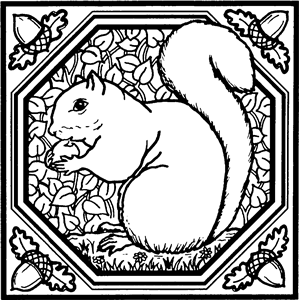 Square Squirrel Motif
