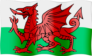 Welsh Flag