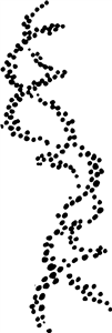 DNA Strand