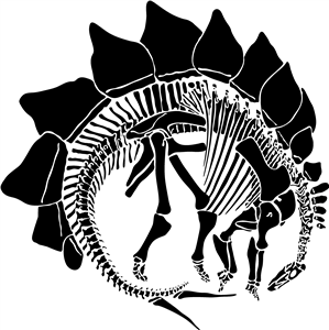 Stegosaurus Fossil