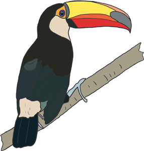 Toucan on branch 