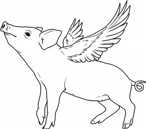 Flying Pig