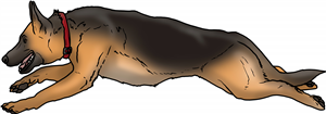 Running German Shepherd