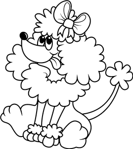 Poodle Dog