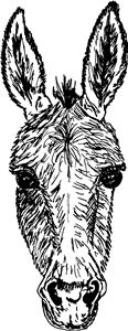 Donkey Head