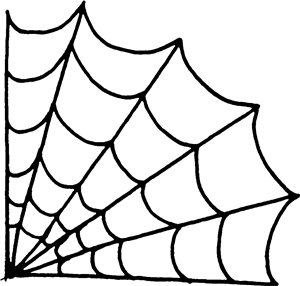 Spider Web