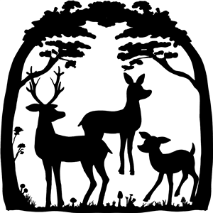 Deer In The Forest