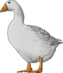 Goose
