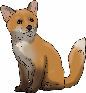 Fox Cub