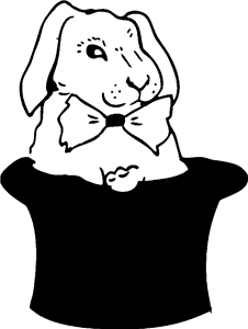 Rabbit In A Hat