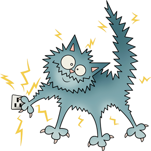 Electrocuted Cat