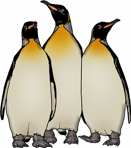 King Penguins