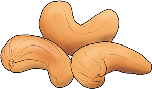 Cashew Nuts