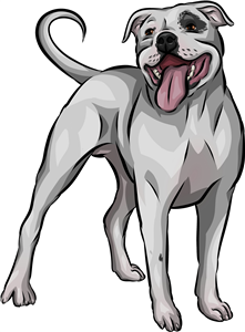 Staffordshire Bull Terrier