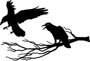 Crows On A Branch