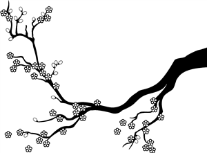 Cherry Blossom Branch