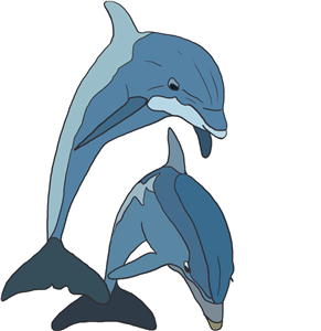 Jumping dolphins 