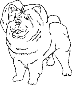Chow Chow