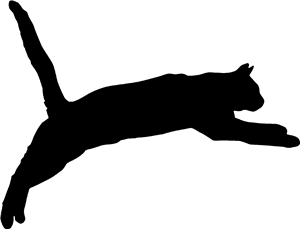 Jumping Cat