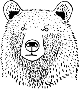 Grizzly Bear Head