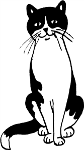 Sitting Cat