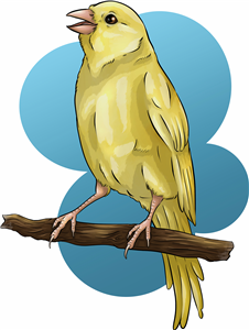Perched Yellow Canary