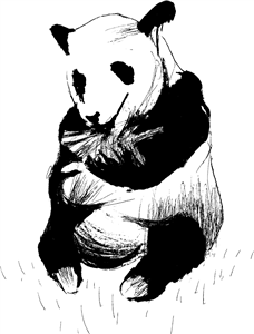 Panda Bear